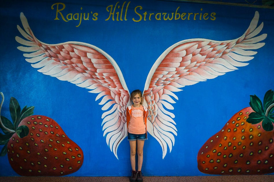 Aardbei Boerderij Cameron Highlands