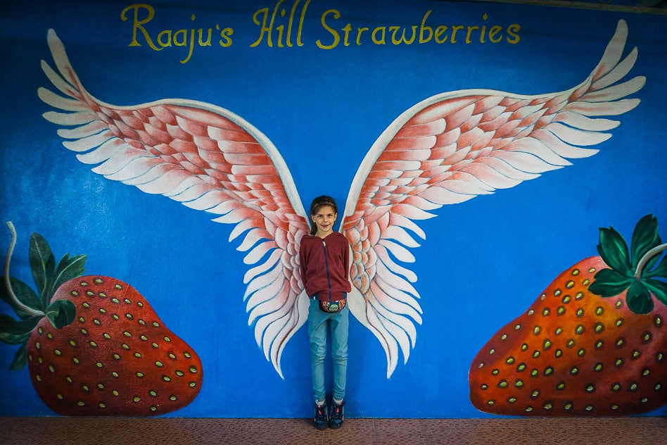 Strawberry Farm Cameron Highlands