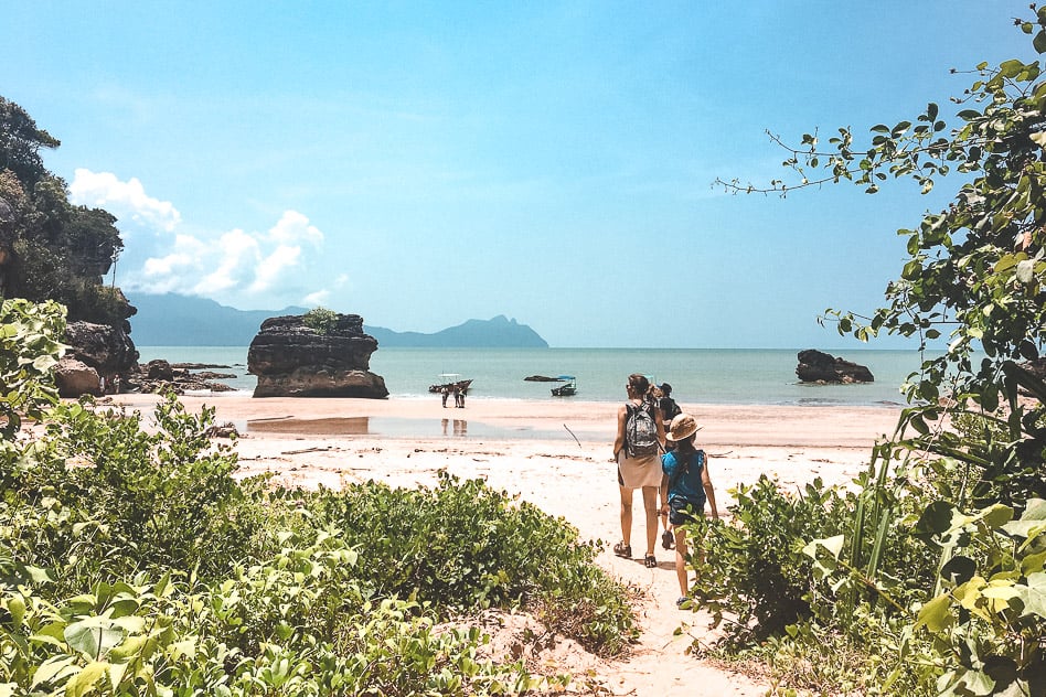Bako National Park: the complete guide for your visit Beach Bako National Park Borneo Jungle Walk Kids