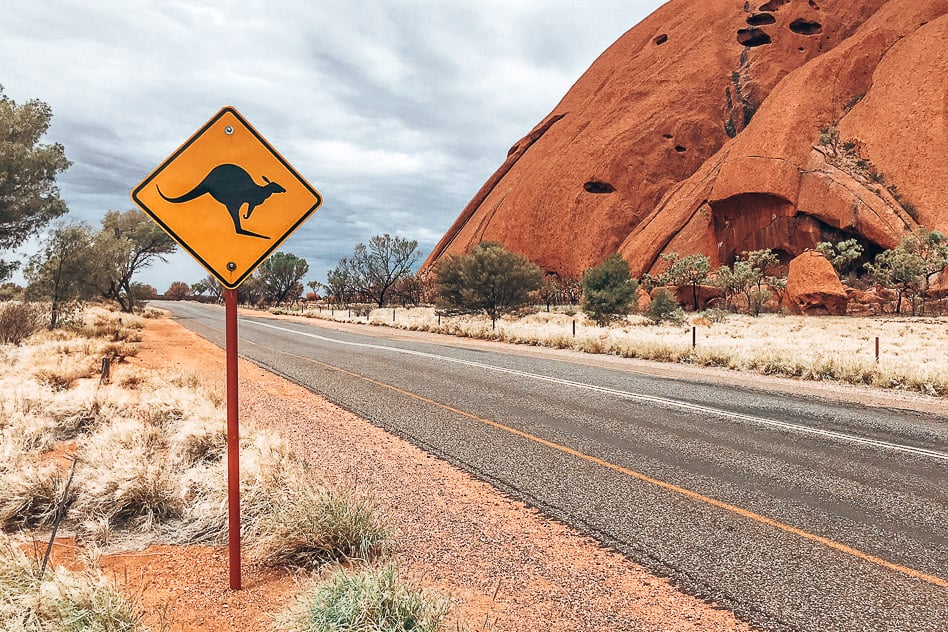 Travel diary #10: The Stuart Highway and Uluru: an epic outback adventure Uluru Stuart Highway Kangaroo Austrailia