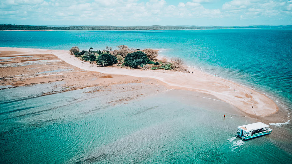 Discovering Hervey Bay with Hervey Bay Eco Marine Tours Hervey Bay Eco Marine Tour Boat Island Australia