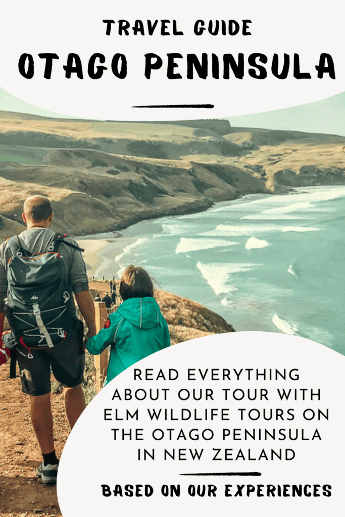 Exploring the Otago Peninsula with ELM Wildlife Tours The Best Wildlife Tour Otago Peninsula New Zealand 3 683x1024