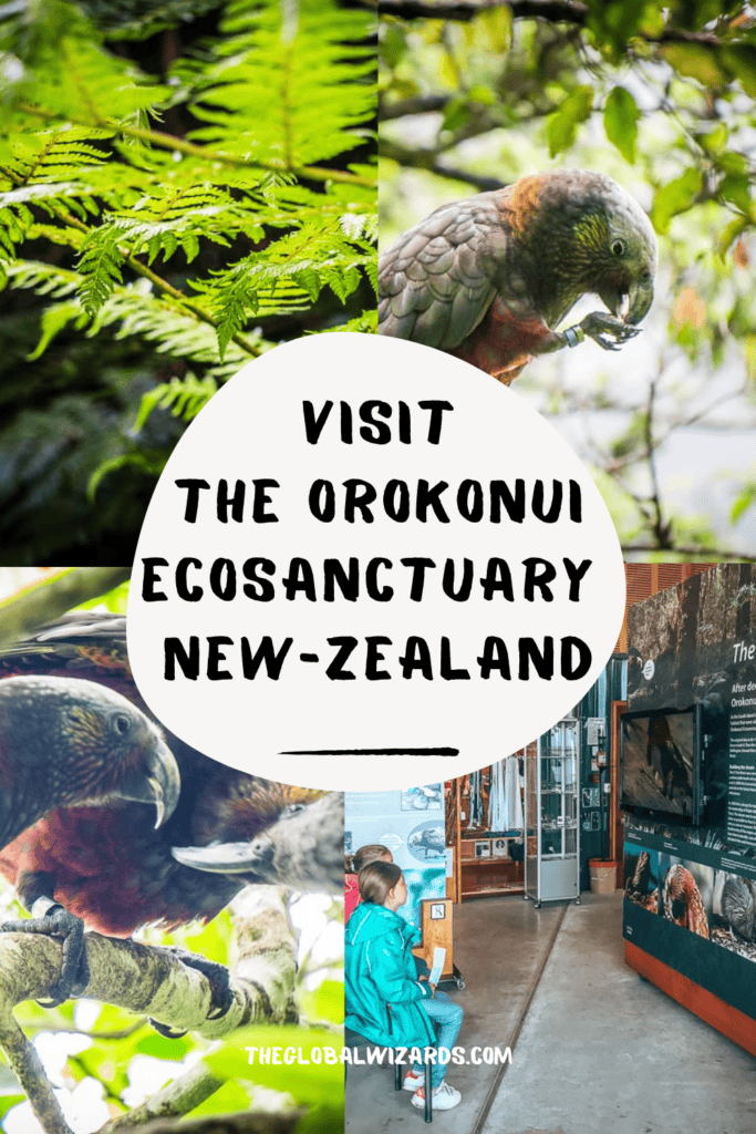 The Orokonui Ecosanctuary in New Zealand Visit The Orokonui Ecosanctuary In New Zealand 1 683x1024