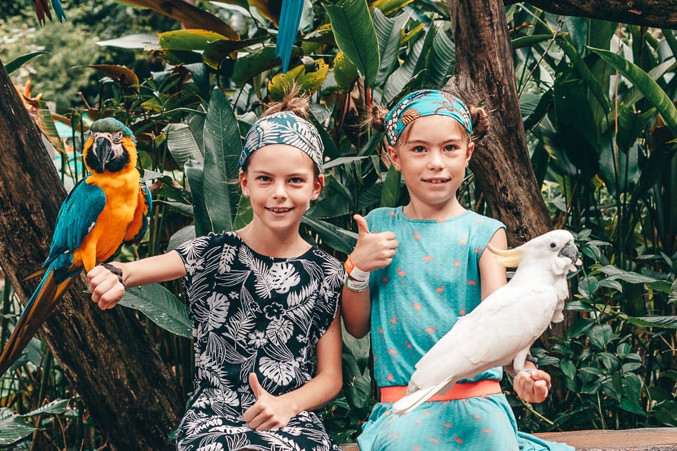 Ontdek het themapark Sunway Lagoon in Kuala Lumpur Cockatoo Parrot Wildlife Park Kids Family Fun