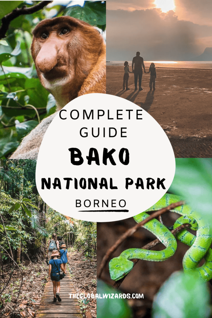 Bako National Park: the complete guide for your visit Complete guide Bako National Park in Borneo