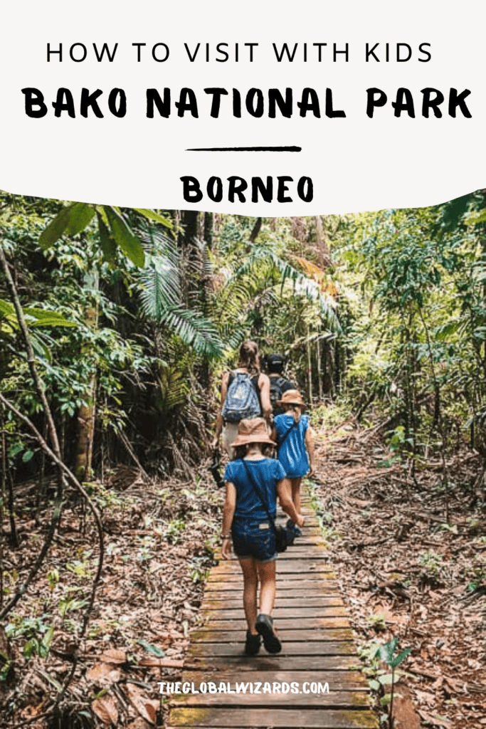 Bako National Park: the complete guide for your visit How to visit the Bako National Park in Borneo