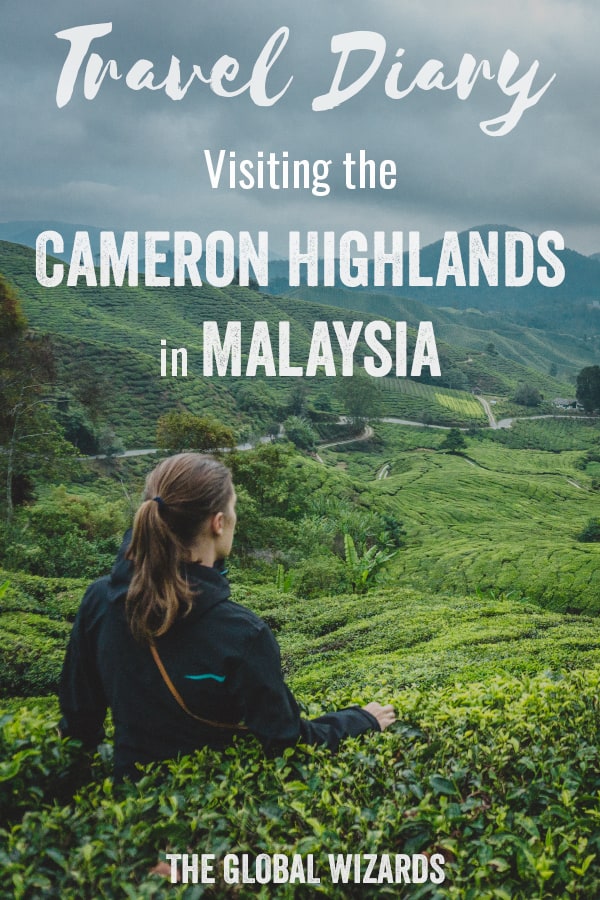 Travel Diary #4: Drinking tea in the Cameron Highlands Pinterest Travel Diary Malaysia Cameron Highlands Tea