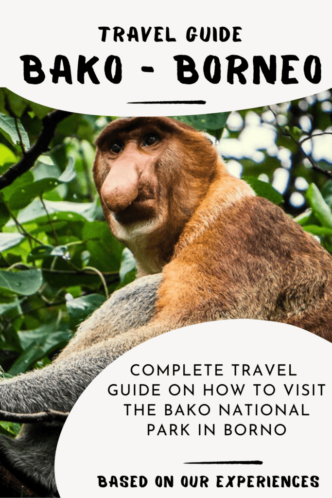 Bako National Park: the complete guide for your visit Travel guide Bako National Park Borneo