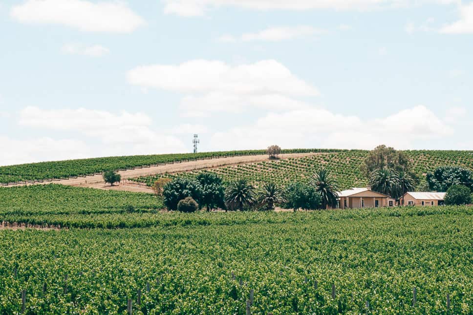 Barossa Valley South Australia Wine