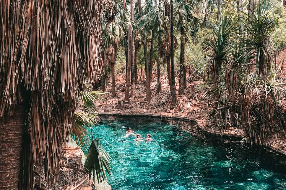 Mataranka Pool Swim Outback Stuart Highway