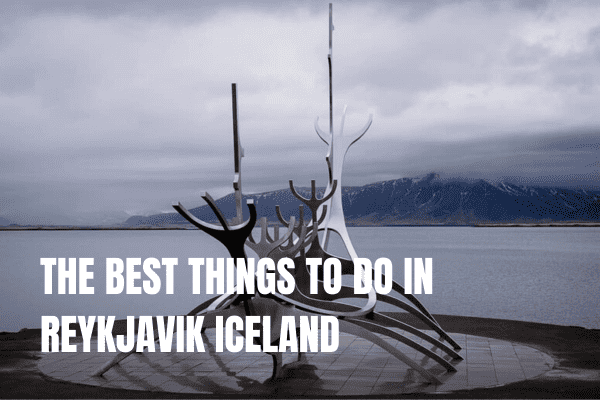Whale Watching in Iceland: Where and When + Our Top Tips The best things to do in Reykjavik Iceland