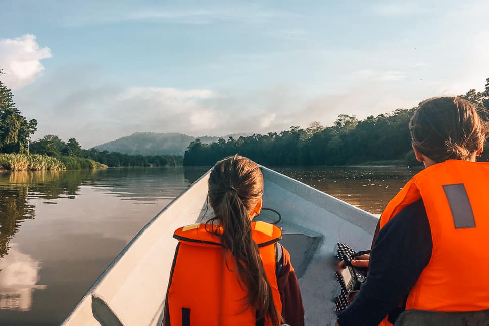 Kinabatangan River Borneo: guide to a bucket list jungle experience Kinabatangan River bucket list jungle experience in Borneo with kids