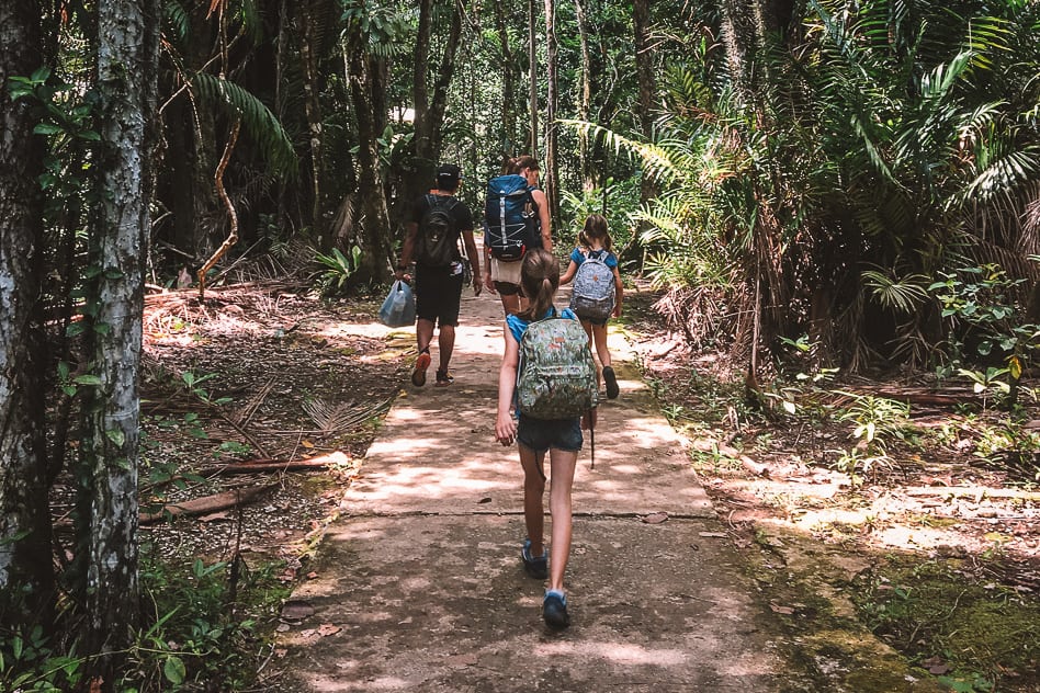 Bako National Park: the complete guide for your visit Arriving At Bako National Park With Kids