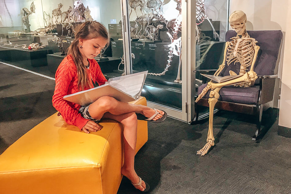 Travel Diary #13: Sydney, a city with many faces Australian Museaum Sydney Discover Hall Kids