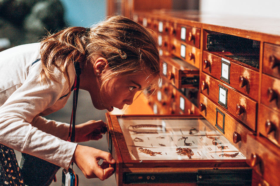 Travel Diary #13: Sydney, a city with many faces Australian Museum Sydney Discover Kids