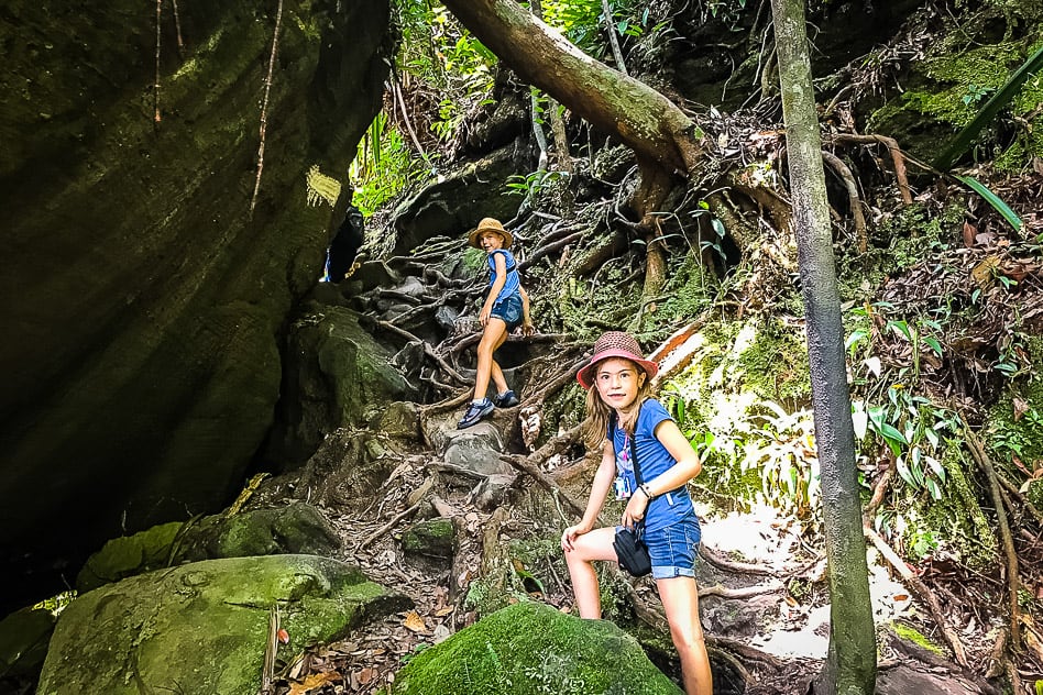 Bako National Park: the complete guide for your visit Borneo Bako National Park Jungle Walk