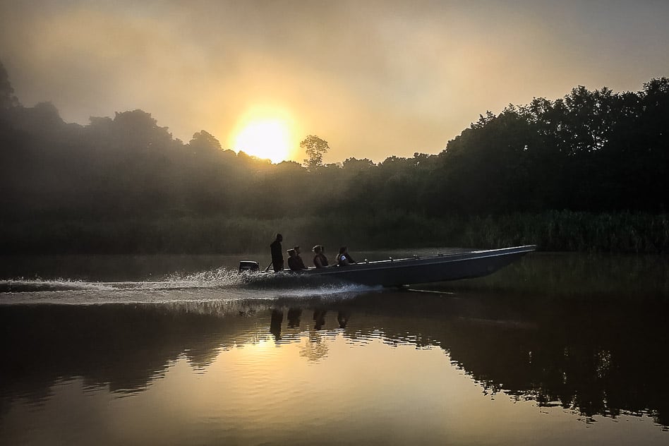 Kinabatangan River Borneo: guide to a bucket list jungle experience Morning cruise over the Kinabatangan River in Borneo during sunrise