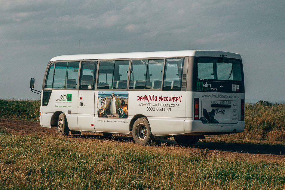 Exploring the Otago Peninsula with ELM Wildlife Tours Bus ELM Wildlife Tour Otago Peninsula