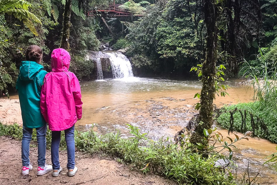 Travel Diary #4: Drinking tea in the Cameron Highlands Parit Falls Kids Tanah Rata Cameron Highlands