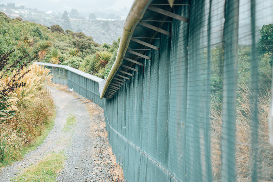 Travel Diary #16: New Zealand, the Southern Island part 2 Fence Eco Sanctuary Orokonui Predators Endangered Birds