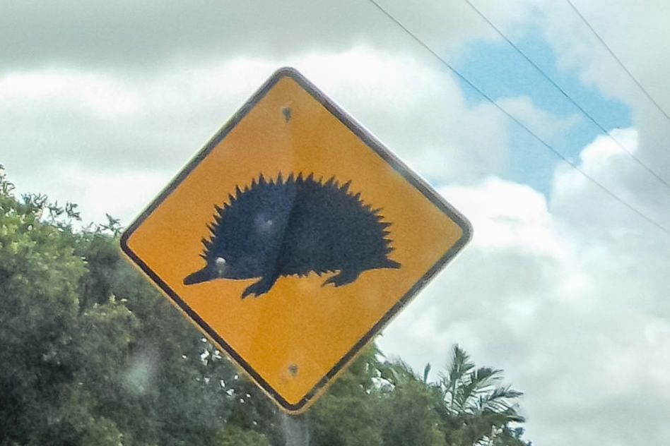 De bordjes langs de weg van Australië en Nieuw-Zeeland Echidna Sign Road Weg Bord Australia