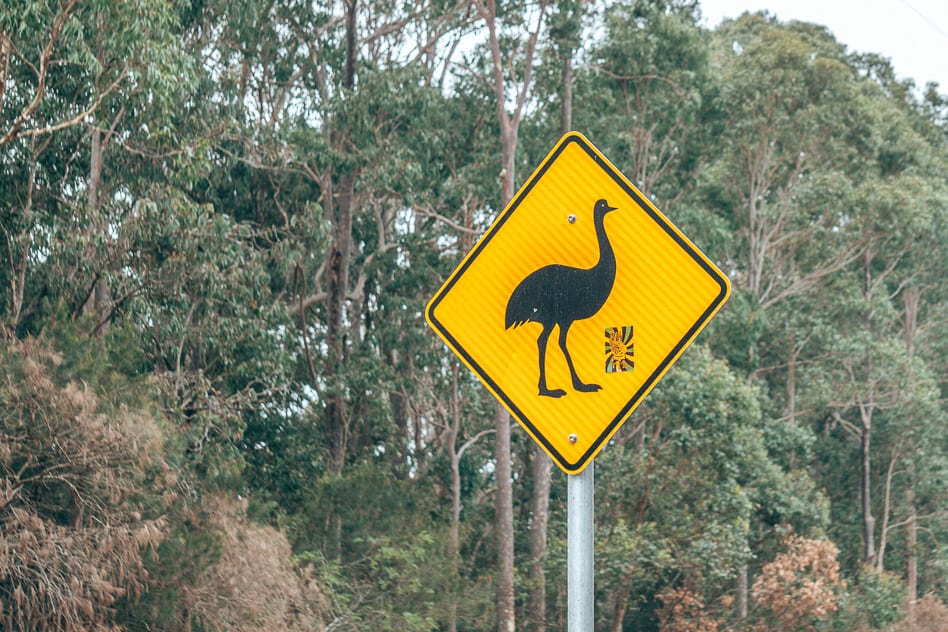 De bordjes langs de weg van Australië en Nieuw-Zeeland Emu Bord Weg Road Sign Australia