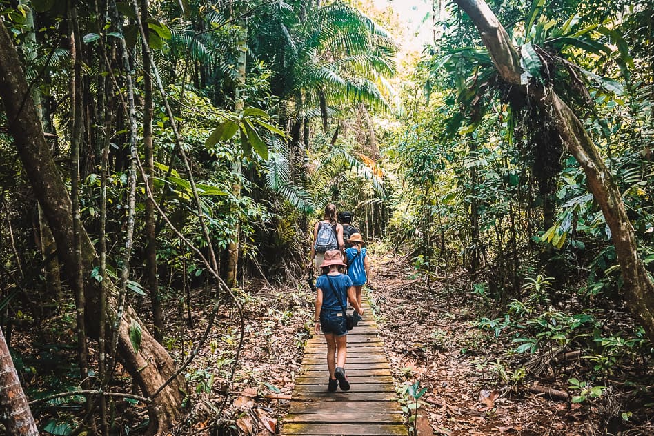 Bako National Park: the complete guide for your visit Following Our Guide At Bako National Park