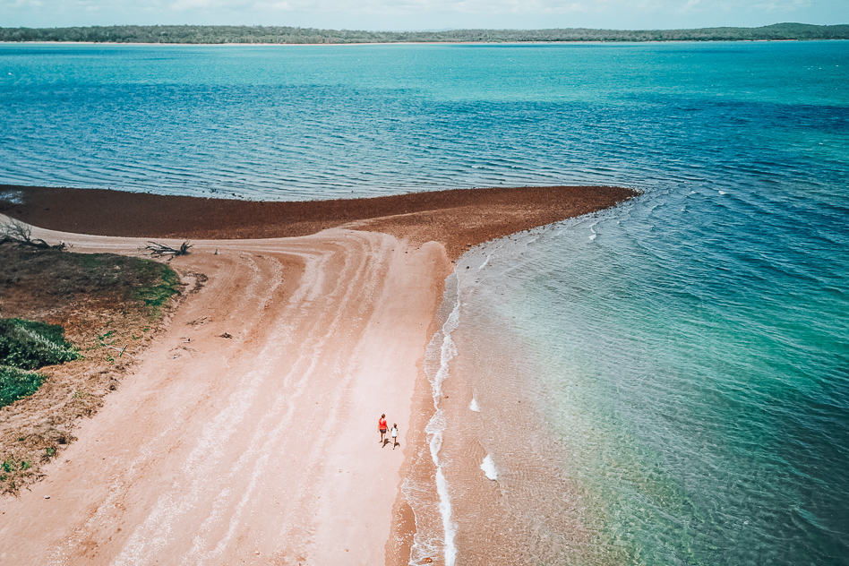 Discovering Hervey Bay with Hervey Bay Eco Marine Tours Hervey Bay Eco Marine Tours Drone Island Australia