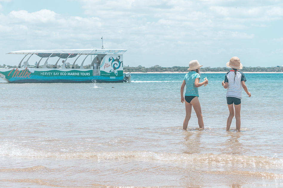 Discovering Hervey Bay with Hervey Bay Eco Marine Tours Hervey Bay Eco Marine Tours Boat Australia Environment