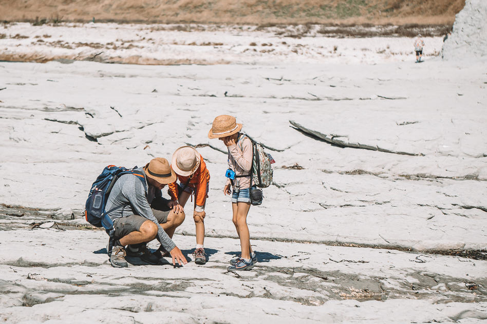 Travel Diary #18: New-Zealand, the Southern Island part 4 Kaikoura Earthquake Geology Kids Lesson Walk