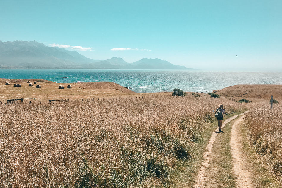 Travel Diary #18: New-Zealand, the Southern Island part 4 Kaikoura Walk Cliffs Beach Nature