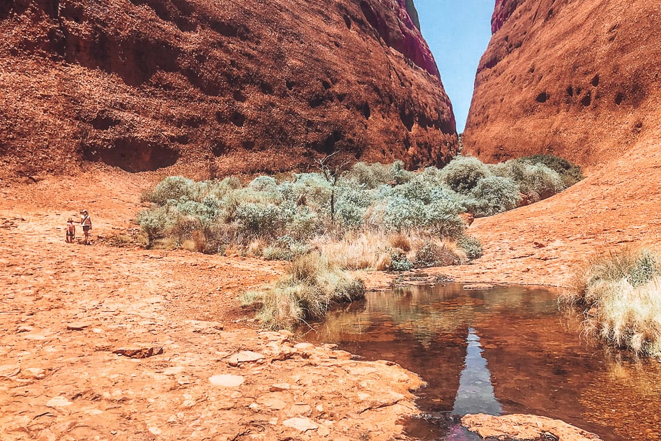 Travel diary #10: The Stuart Highway and Uluru: an epic outback adventure Kata Tjuta Olga Valley Walk Outback Australia