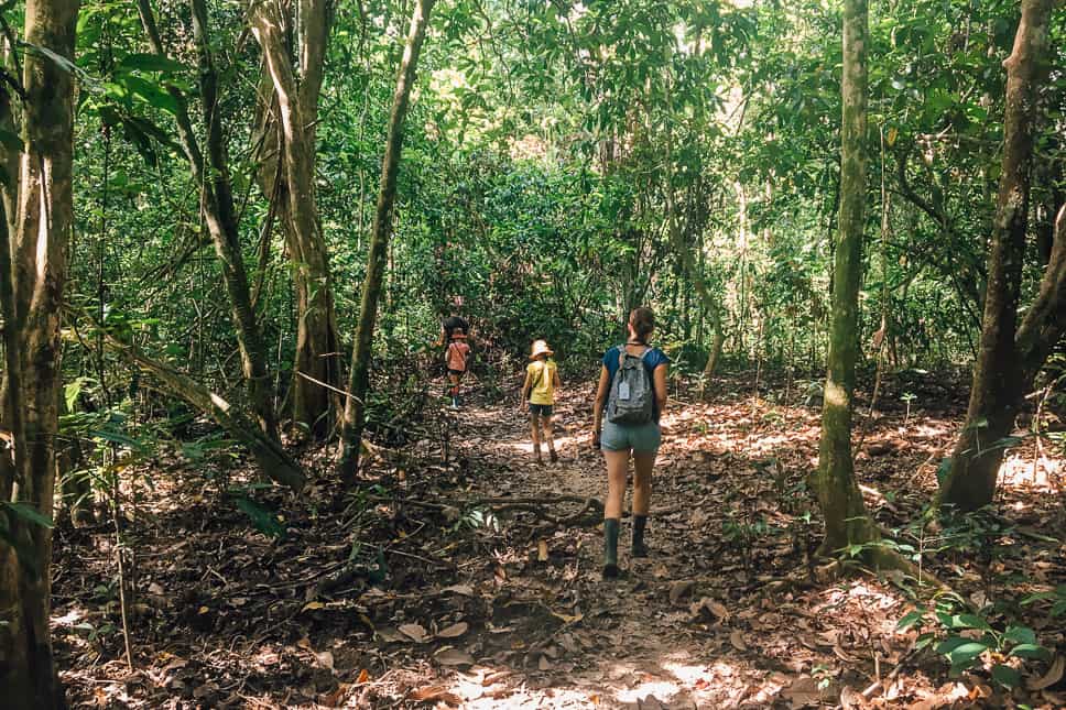 Kinabatangan River Borneo: guide to a bucket list jungle experience Exploring the rainforest in Borneo with kids during our day jungle walk
