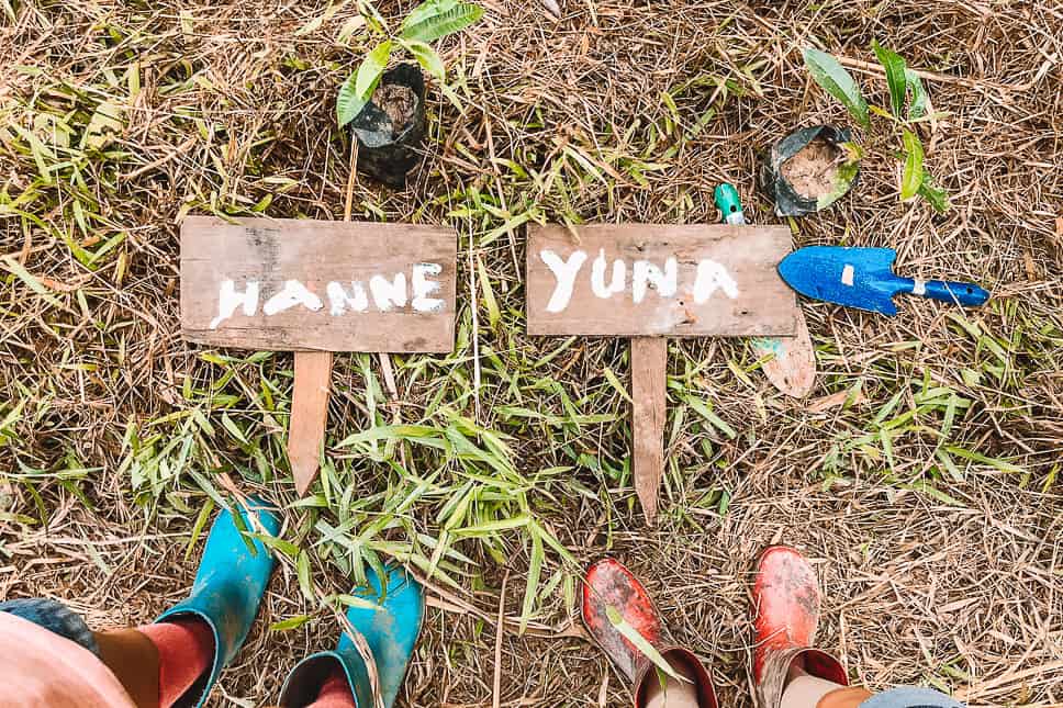 Kinabatangan River Borneo: guide to a bucket list jungle experience Our kids planted trees to recover the rainforest in Borneo