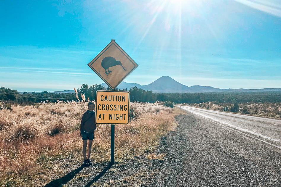 De bordjes langs de weg van Australië en Nieuw-Zeeland Kiwi Bord Sign Vulcano New Zealand