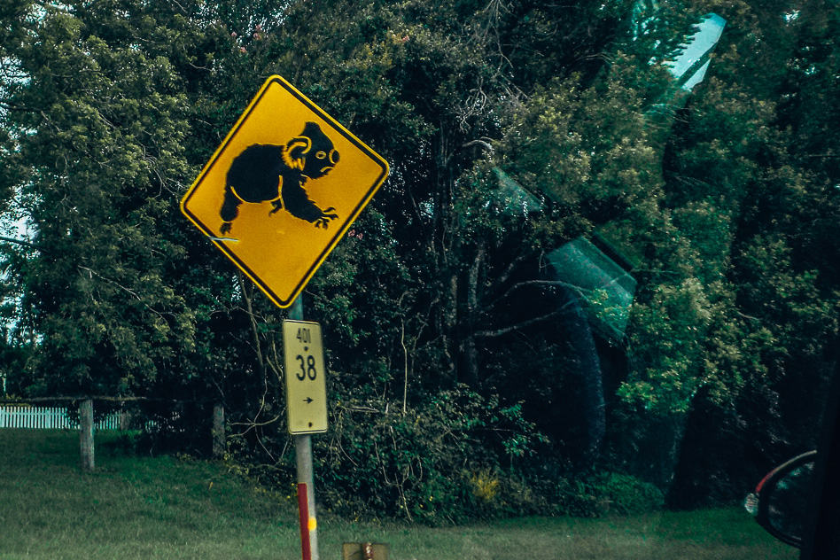 De bordjes langs de weg van Australië en Nieuw-Zeeland Koala Road Sign Weg Bord Australia