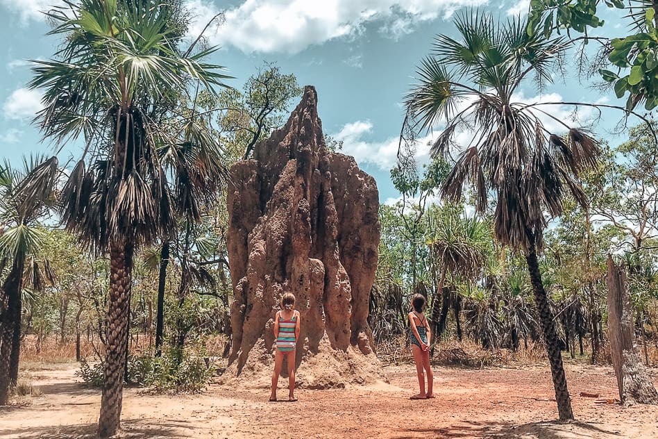 Travel diary #10: The Stuart Highway and Uluru: an epic outback adventure Termites Mounts Litchfield National Park Stuart Highway
