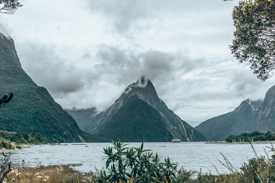 Milford Sound The View New Zealand