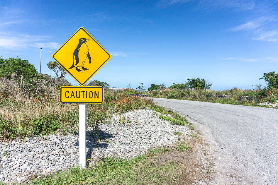 De bordjes langs de weg van Australië en Nieuw-Zeeland Bord Sign Road Weg Pinguin Penguin New-Zealand