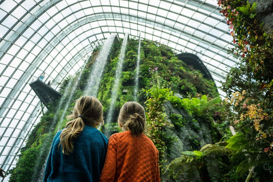 Travel diary #8: a quick visit to Singapore Cloud Forest waterfall Gardens By The Bay Singapore