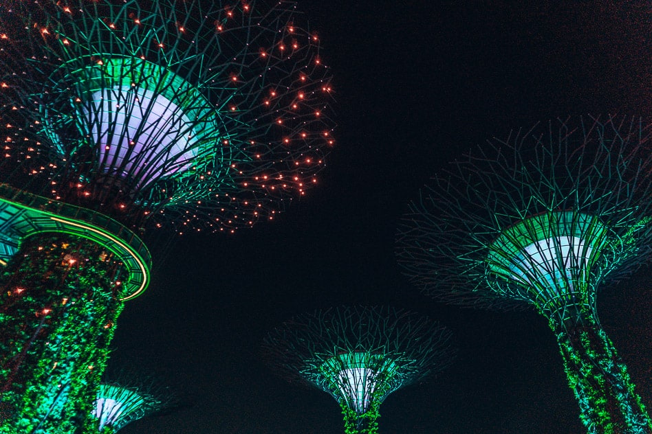 Travel diary #8: a quick visit to Singapore Supertree Grove Gardens By The Bay Light Show Singapore