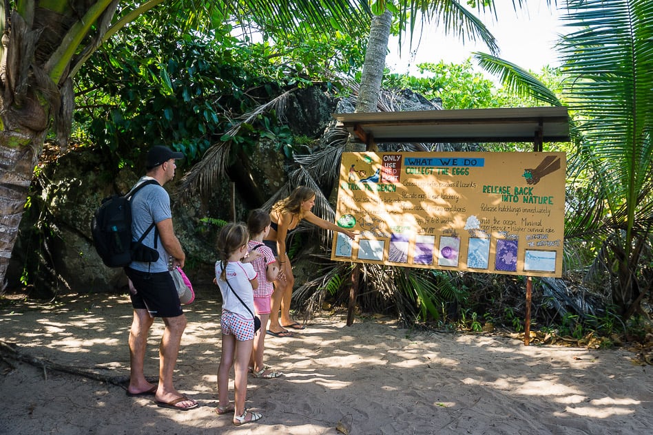 Travel diary #6: Perhentian and Tioman Islands Juara Turtle Project Volunteers Tioman Malaysia