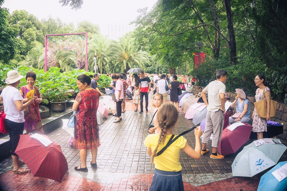 How to visit Shanghai on a budget Free experience Parks Shanghai Budget Elderly