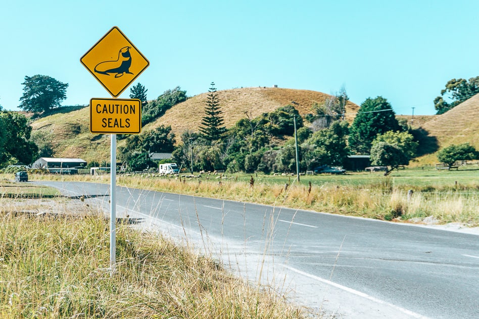 De bordjes langs de weg van Australië en Nieuw-Zeeland Zeehond Sign Road Weg Bord New Zealand