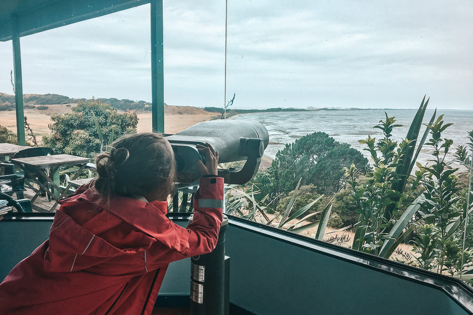 Reisdagboek #18: Nieuw-Zeeland, het Zuidereiland deel 4 Nature Farewell Spit Bird Watching Kid Cafe
