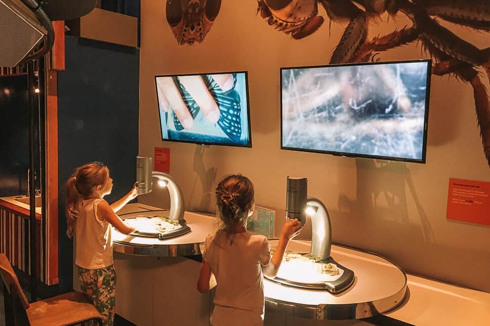 Reisdagboek #19: Nieuw-Zeeland, het Noordereiland Children's corner National Museum Auckland Discovery