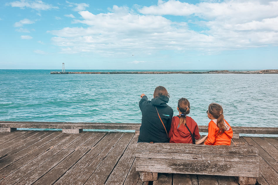 Reisdagboek #16: Nieuw-Zeeland, het Zuidereiland deel 2 Wildlife Spotting Oamaru South Island
