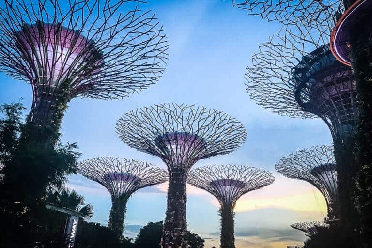 Reisdagboek #8: Een blitzbezoek aan Singapore Singapore Gardens By The Bay Trees 768x512
