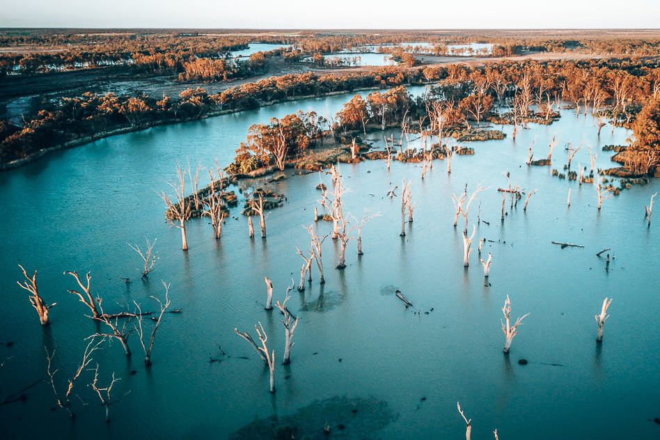 Reisdagboek #11: Van het platteland tot de Great Ocean Road Murray River Kingston Sunset Trees Australia