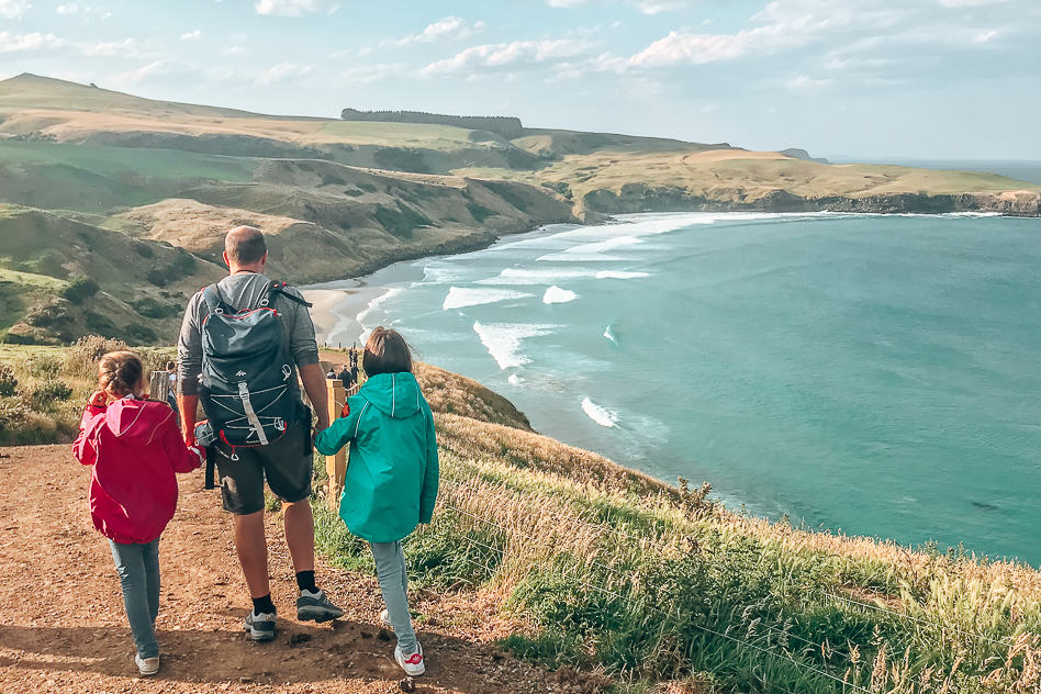 Reisdagboek #16: Nieuw-Zeeland, het Zuidereiland deel 2 Wildlife tour Dunedin Nieuw Zeeland